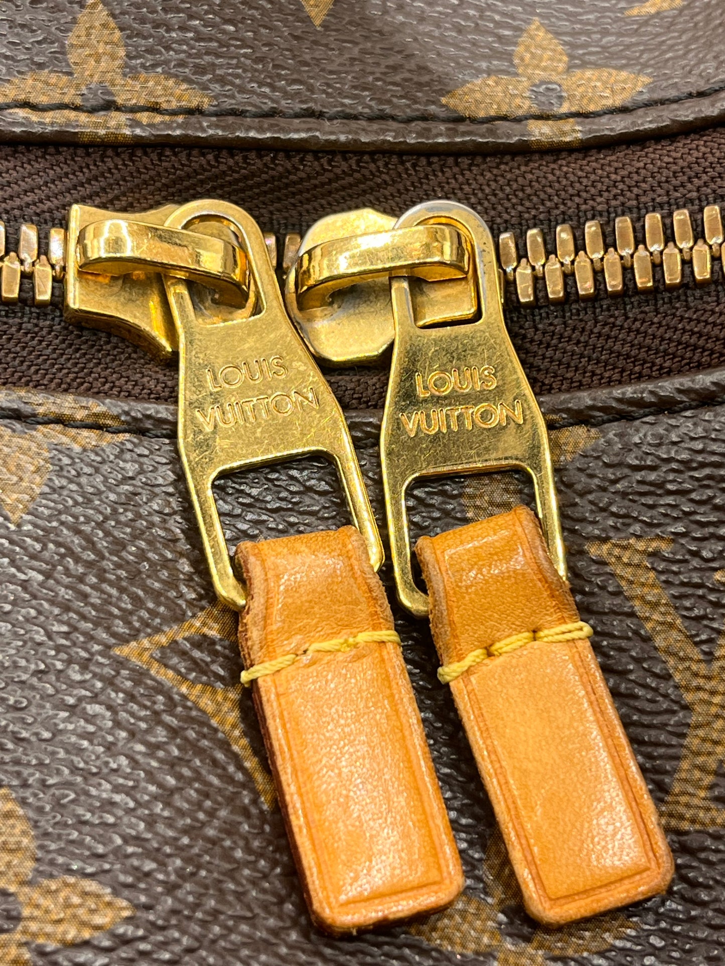 Louis Vuitton Monogram Sully PM
