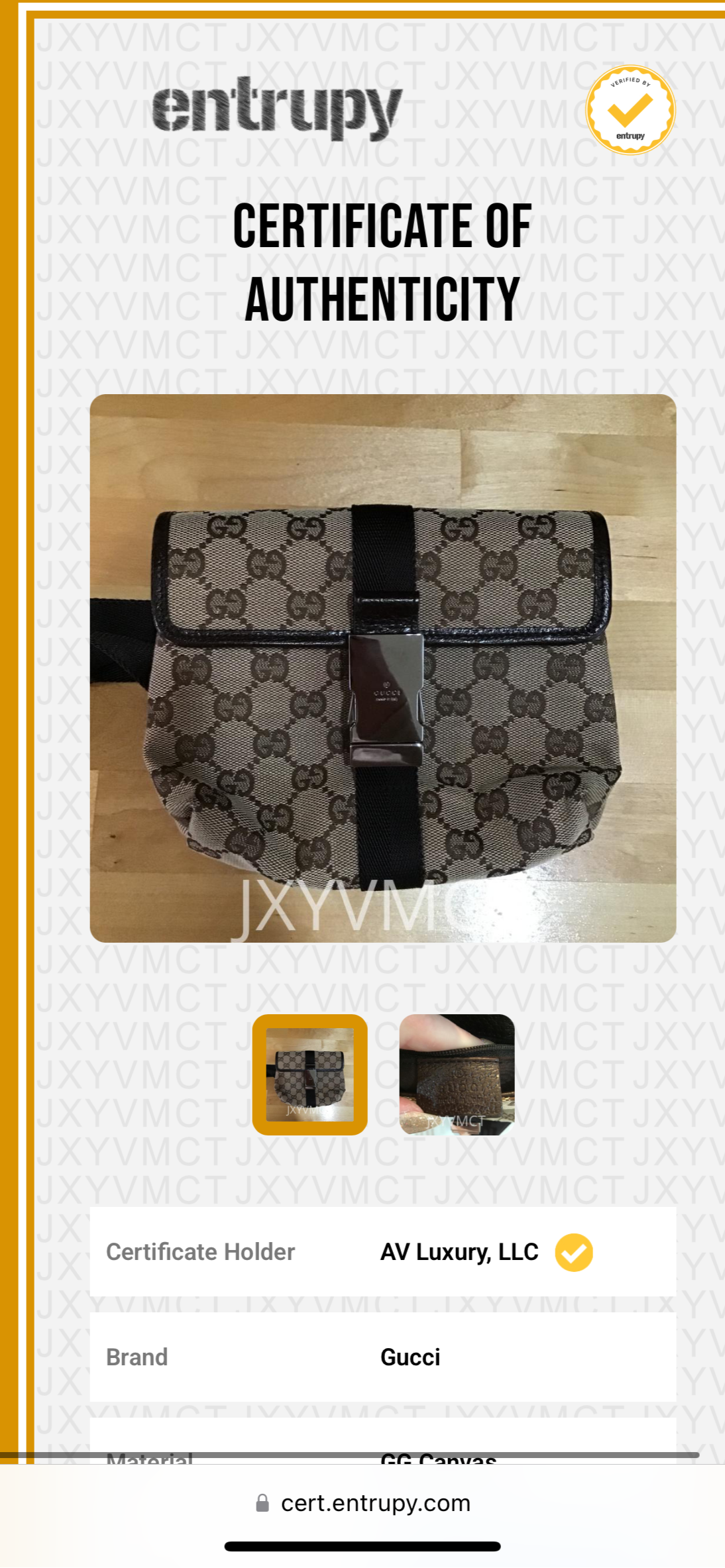 Gucci Monogram Canvas Belt Bag