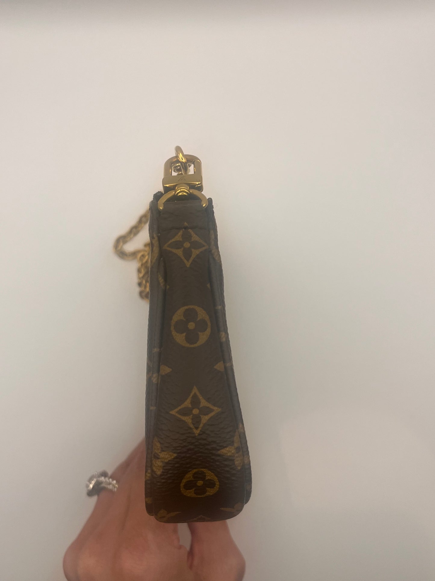 Louis Vuitton Pochette Accessorie Small