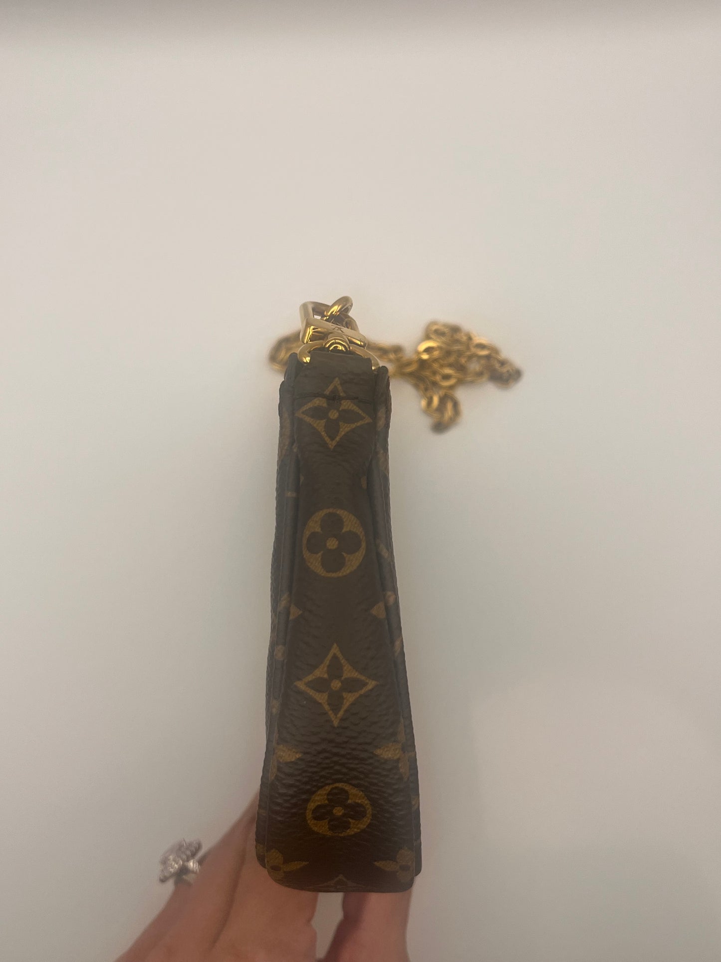 Louis Vuitton Pochette Accessorie Small