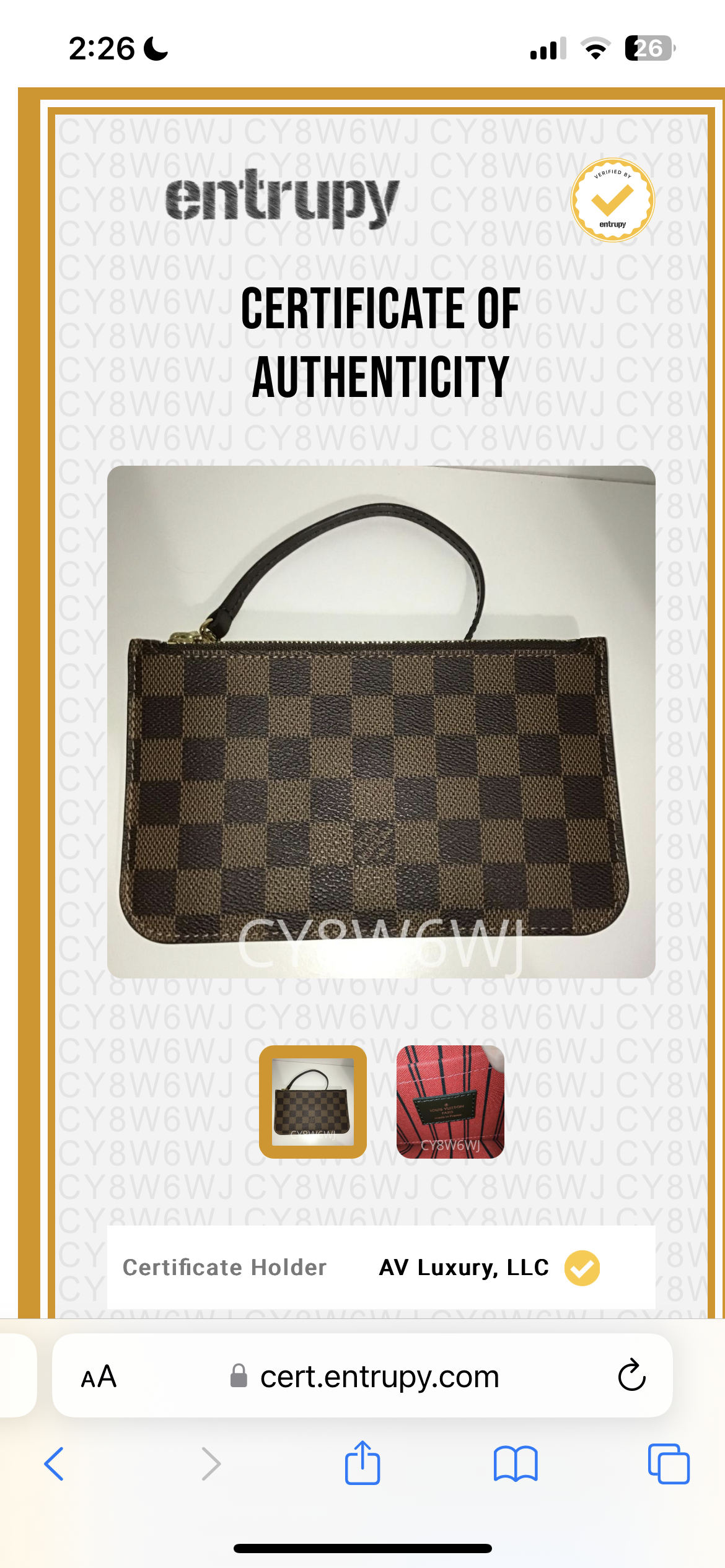 Louis Vuitton Neverfull PM Pochette Damier Ebene